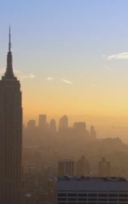 Videocover Esb