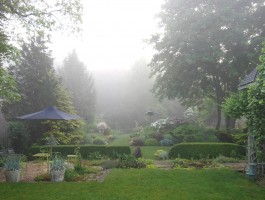 FredGarden_47
