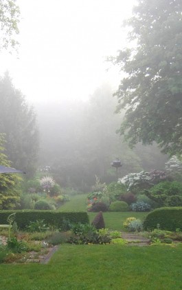 FredGarden_47