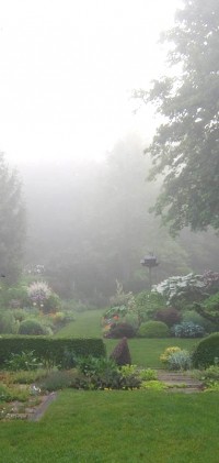FredGarden_47