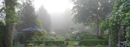 FredGarden_47