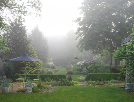 FredGarden_47
