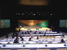 High Level Round Table On Ecological Climate Change Resilient Disaster Responsive Cities