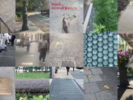 Redsidewalks 20171109 Mainimage