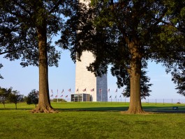 6125_WashMonument_ProjPic03a