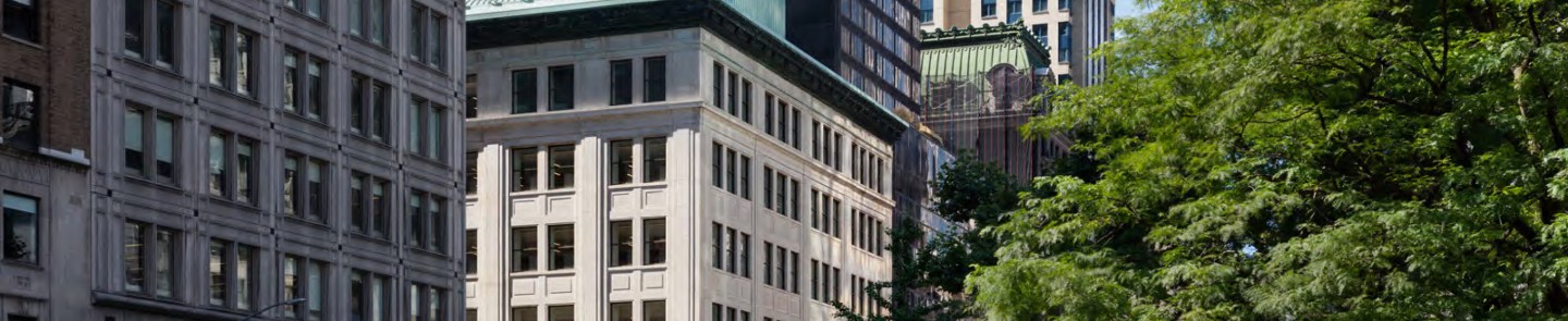 2580_NYPL-SNFL_ProjPic01.jpg