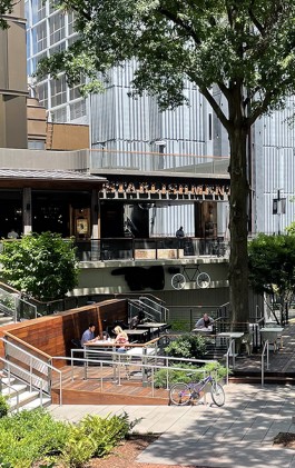 MainImage_IMG_2714.jpg