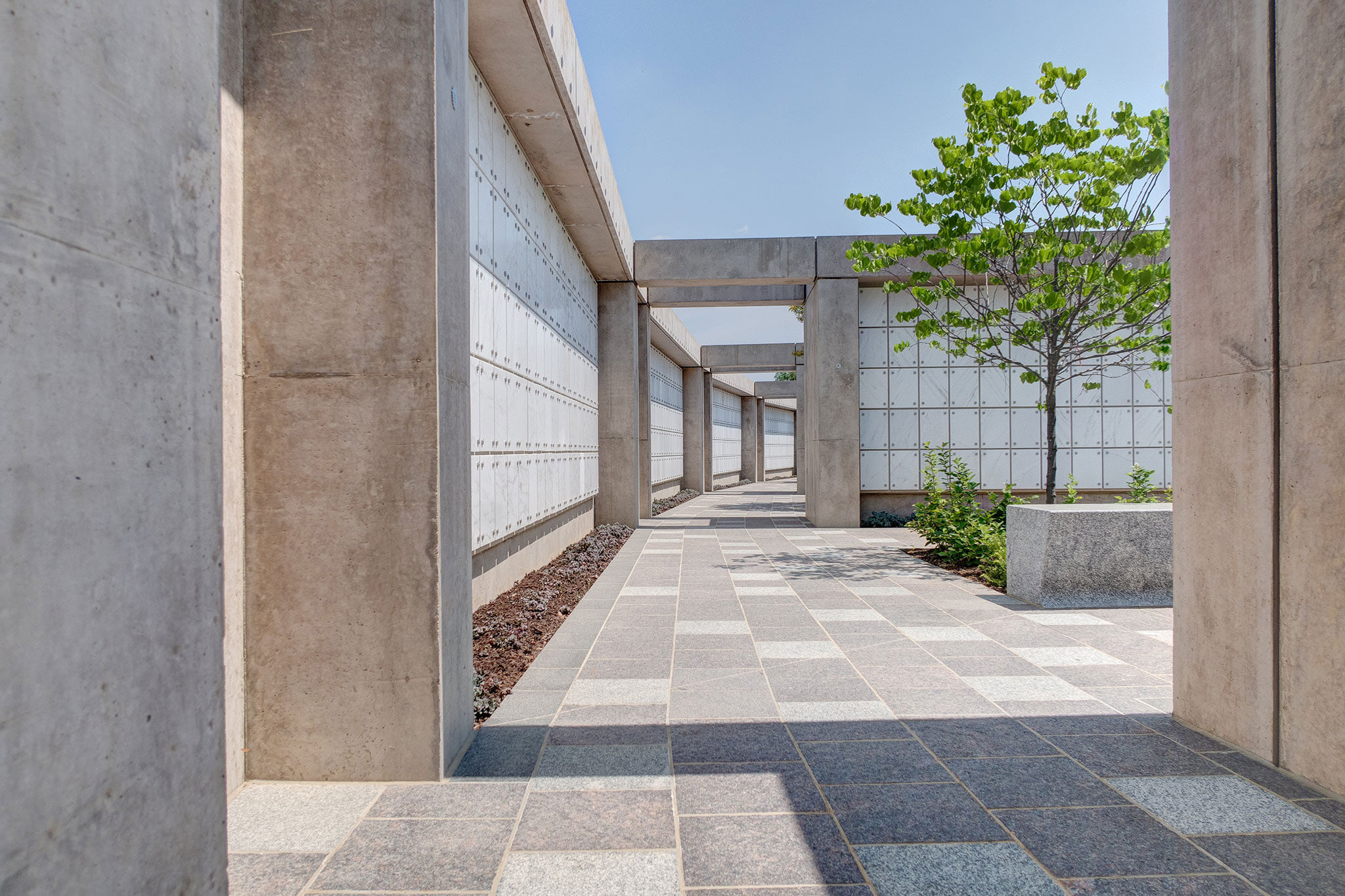 Arlington National Cemetery Millennium Project: 6168 ArlingtonNatCemetary 20180511 Scout02