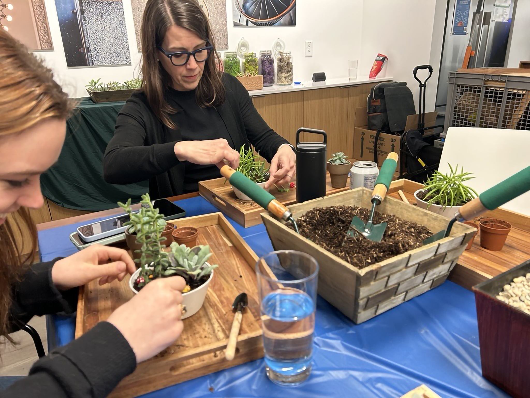 Careers: BBB Culture Terrarium2