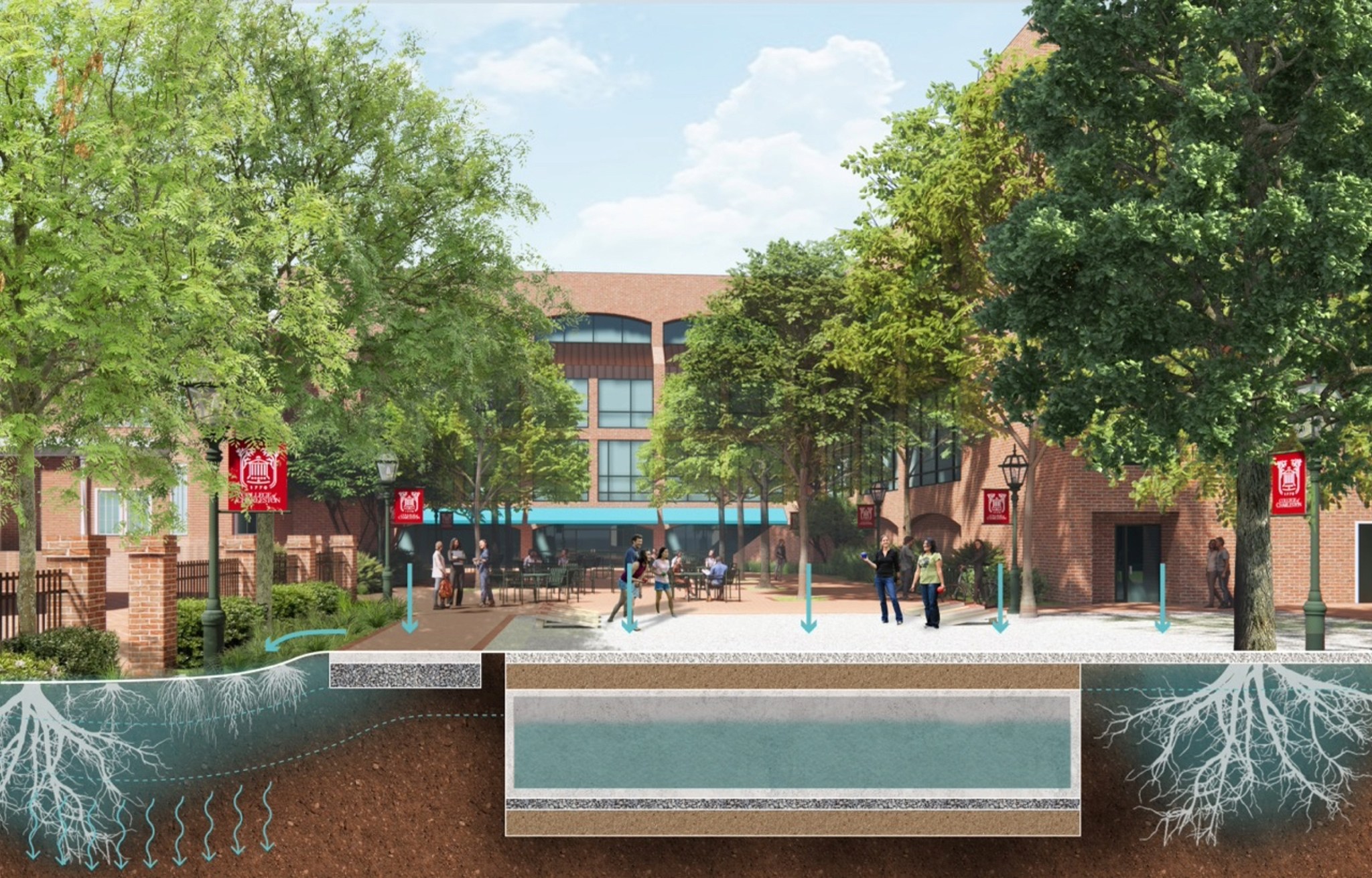 College of Charleston Campus Framework Plan: CoC SS Stern Garden Render Resiliency Section