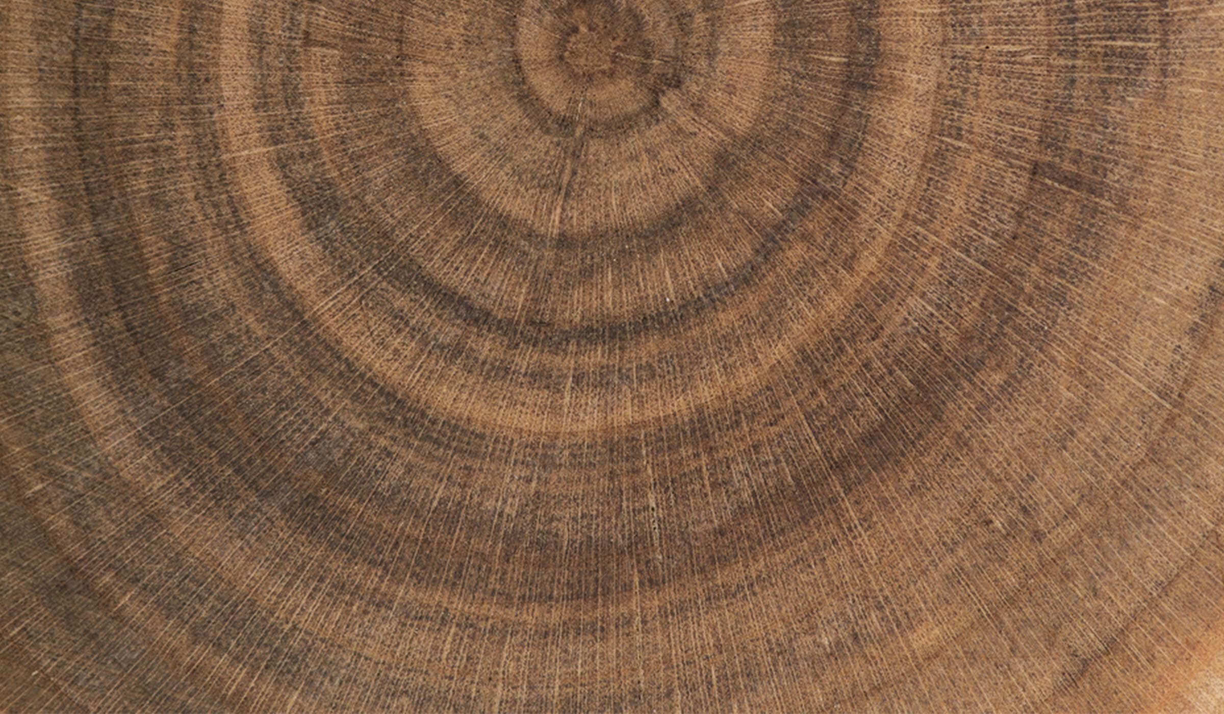 Proving that Timber Is Competitive with Steel and Concrete: Ideas Large TimberIsCompetitive